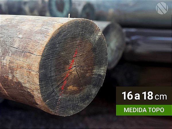 ESTACA DE EUCALIPTO TRATADO 16/18