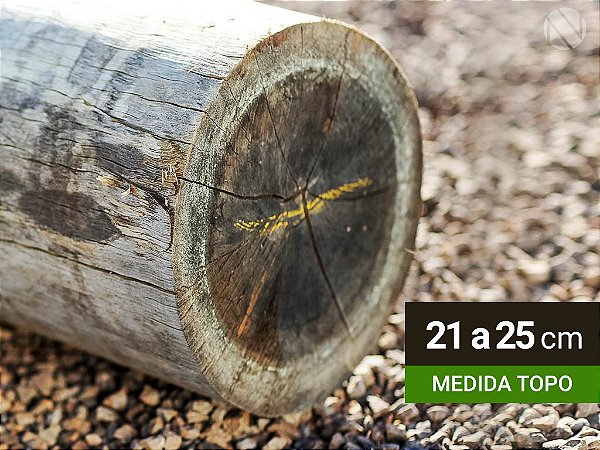 ESTACA DE EUCALIPTO TRATADO 21/25