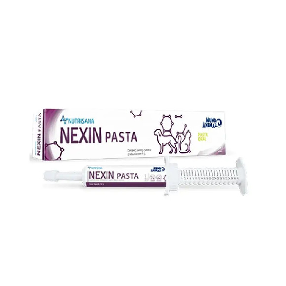 Nexin Pasta Seringa 40 g
