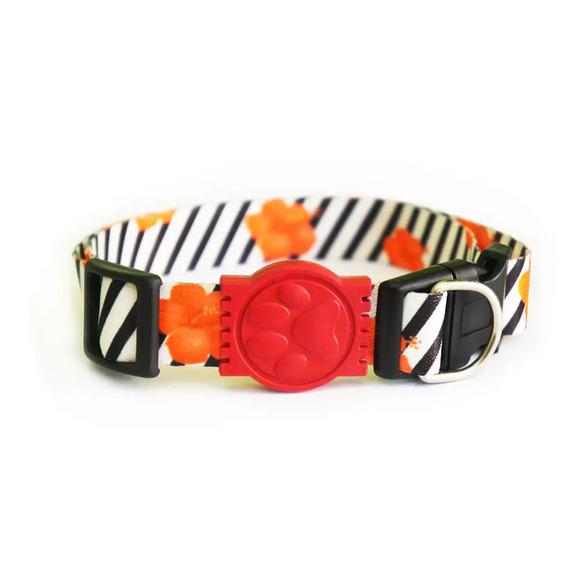 Coleira Floral Alvorada G