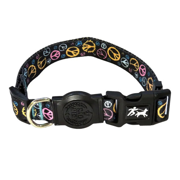 Coleira Paradiso São Pet G