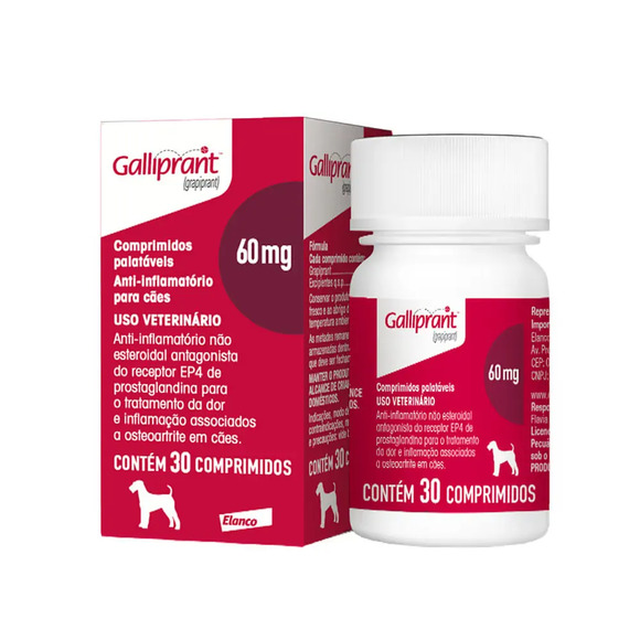 Galliprant 60mg Anti-inflamatório para Cachorro 30 comprimidos