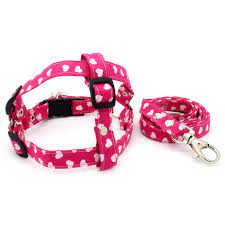Peitoral Estilos Animal N:00