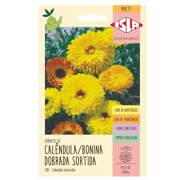Semente Isla Calêndula Bonina Sortida Dobrada Único