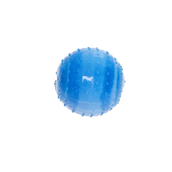 Bola Gelada HomePet Único