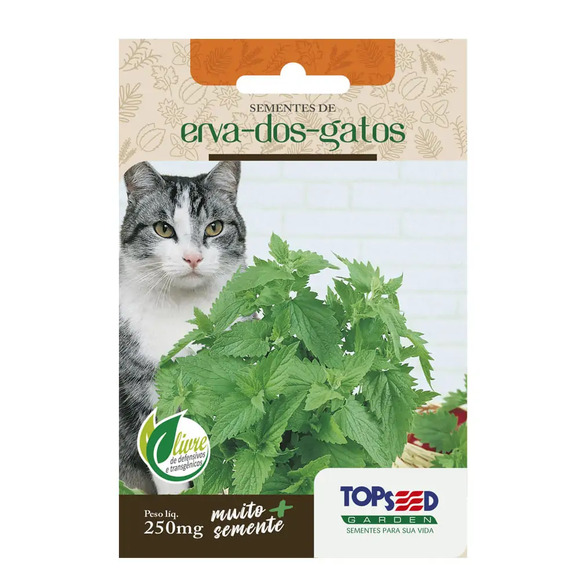 Sementes de Erva dos Gatos Tradicional Topseed Garden Único