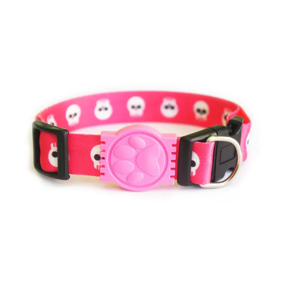 Coleira Caveira Alvorada P