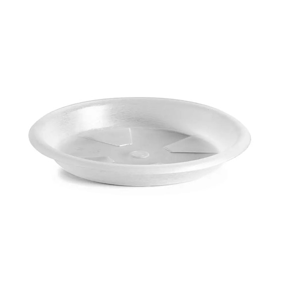 Prato Plástico Incolor FG Import 16 cm