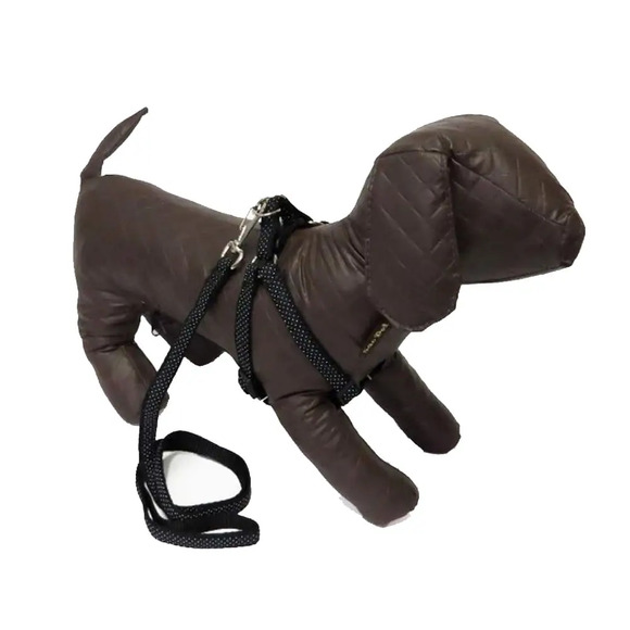 Peitoral com Guia Estampada São Pet Preto Nº 03