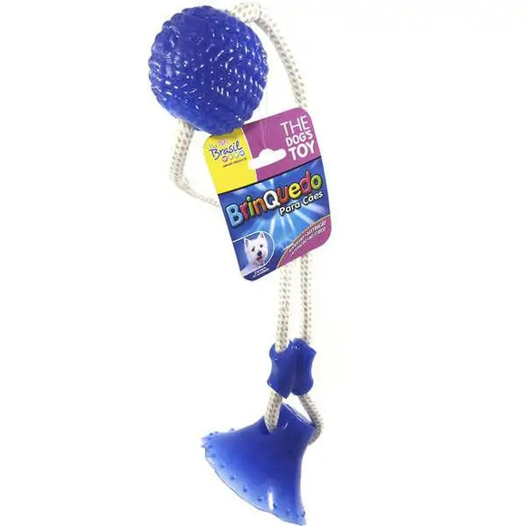 Brinquedo Mordedor Bola Com Ventosa Azul Único