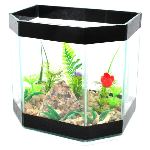 Aquário Hobby Decorada G