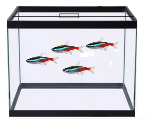 Aquário Pentágono Decorada G