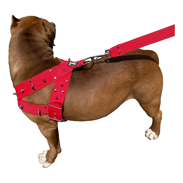 Peitoral Nik Dog P/pit Bull/pit Monster G