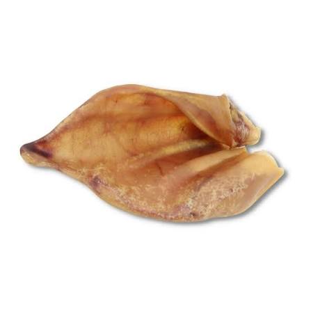 Orelha Suina Natural Procanine Uni