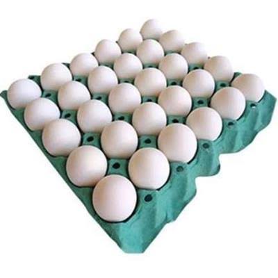 Ovo Branco de Galinha Caramuru Grande 30 unidades