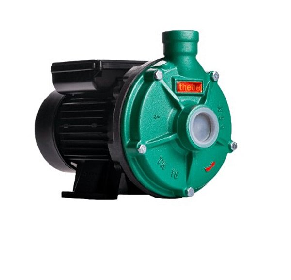 BOMBA CENTRÍFUGA TH-16 NR 1,0CV MONOFÁSICA IP55 127/220-254V POTÊNCIA, DURABILIDADE E QUALIDADE 125.01.525044 - THEBE