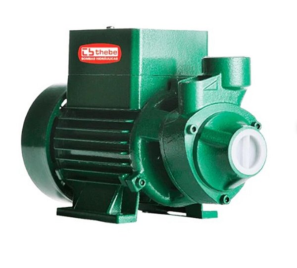 BOMBA SOLAR ÉCAROS PERIFÉRICA TP CI 272W 44V ROTOR EM BRONZE DESEMPENHO CONFIÁVEL 10-001-4608 - THEBE