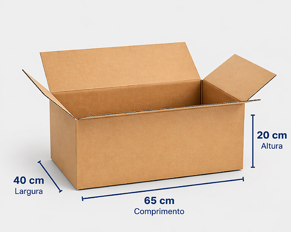 Caixa de Papelão Maleta 65x40x20 Grande Embalagem