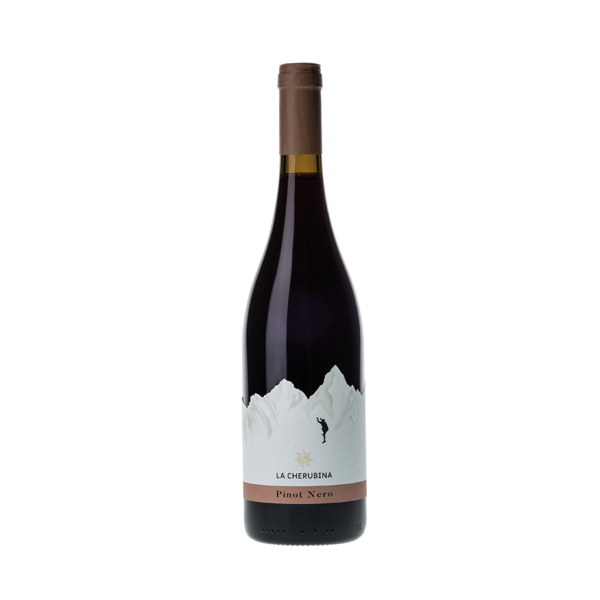 Pinot Nero D.O.C Trentino La Cherubina