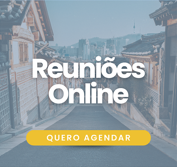 Reuniões On-line de Consultoria para Viagem à Coreia do Sul