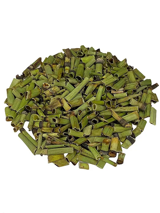 Cavalinha (Equisetum giganteum L)
