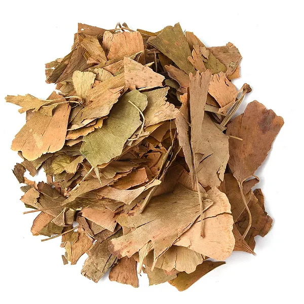 Ginkgo biloba