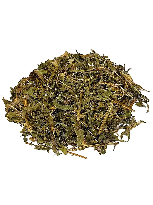 Catinga de mulata (Tanacetum vulgare L.)