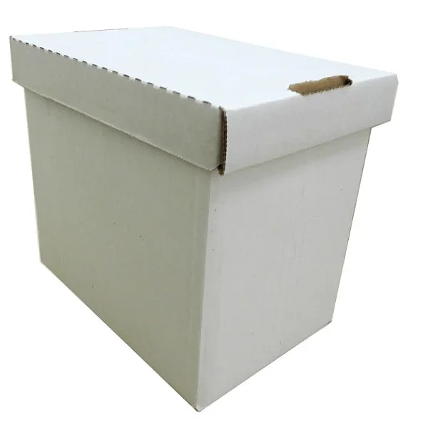 Caixa para Sorvete/Açaí Branca 10kg Papelão