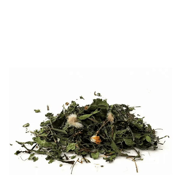 Chá Dente de Leão 100% Natural