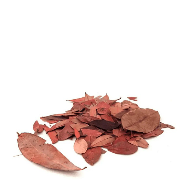 Chá de Pedra Ume Caá 100% Natural