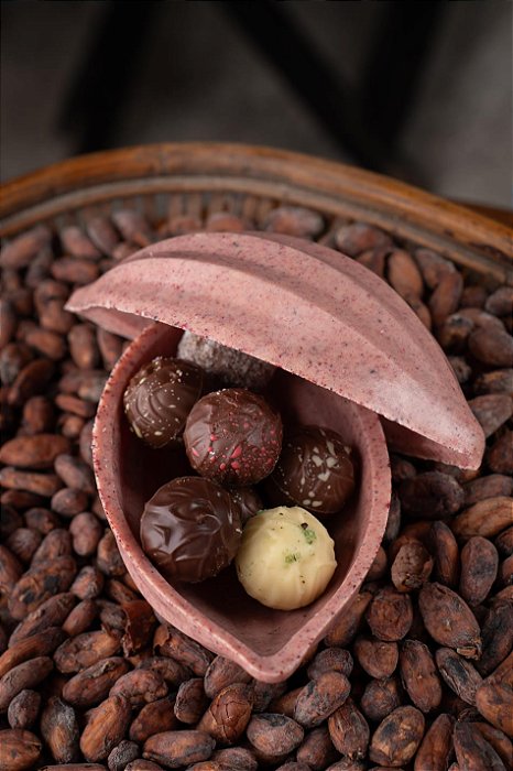 Ovo de Páscoa Frutas Vermelhas com 8 Trufas Zero Açúcar 340g