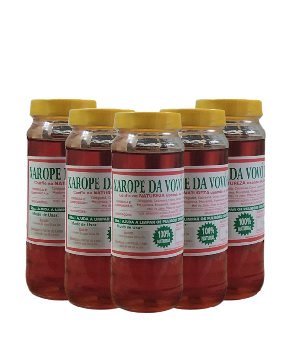 Caixa com 6 Unidades - Xarope da Vovó Inês 100% Natural 400g