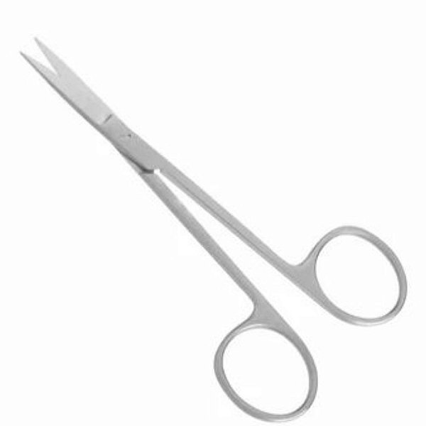 Tesoura Prateada Longa