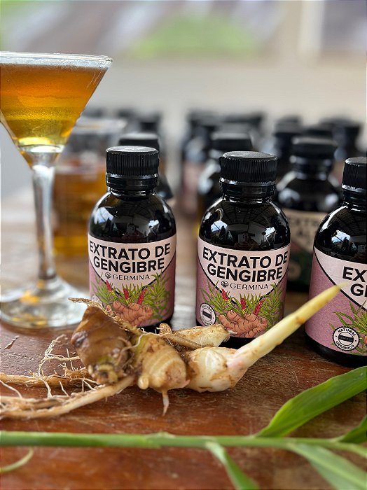 🌿 Extrato de Gengibre Germina Saúde