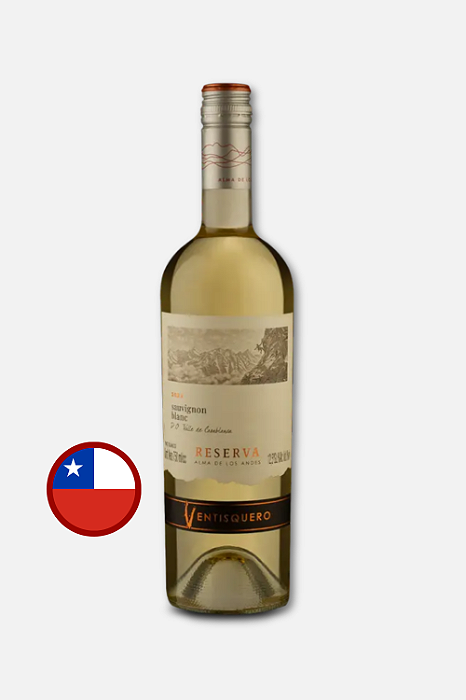 Ventisquero Reserva Sauvignon Blanc Branco 750ml