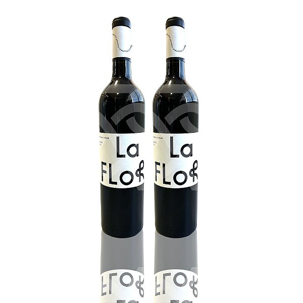 Vinho Argentino Tinto La flor - Pulenta Malbec (2 Un.)