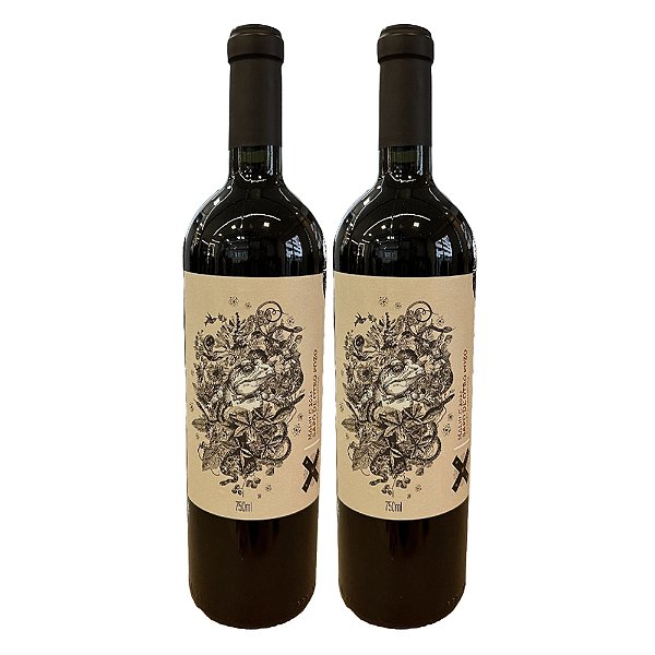 Vinho Argentino Sapo - Blend de Tintas (2 Un.)