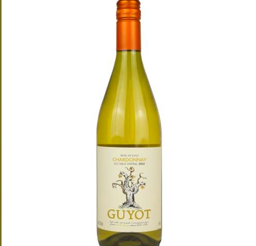 Vinho Chi Guyot Chardonnay GFA