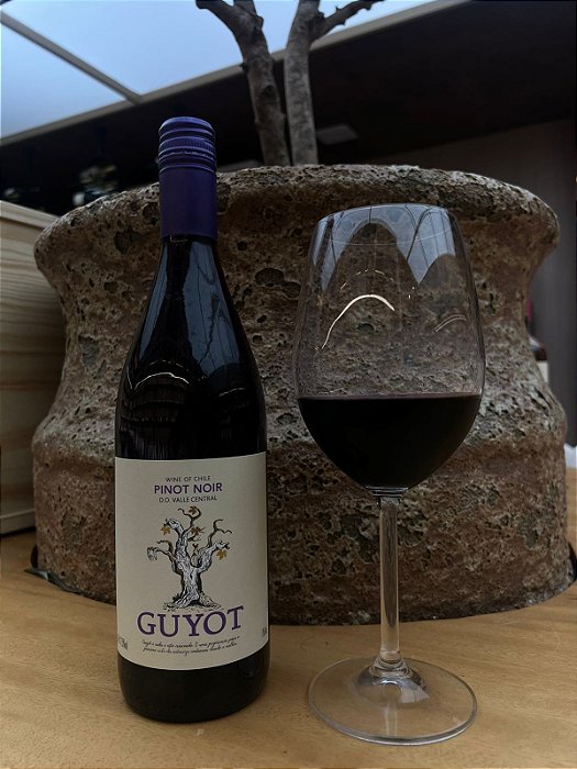 Guyot Pinot Noir Pinot Noir Guyot Chile 750 Ml