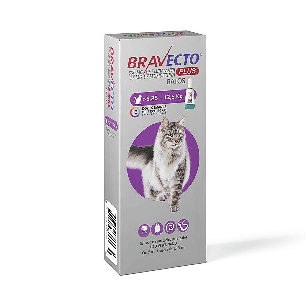 Bravecto gato transdermal 6,25 a 12 kg