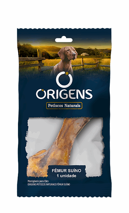 ORIGENS PETISCOS NATURAIS FEMUR SUINO