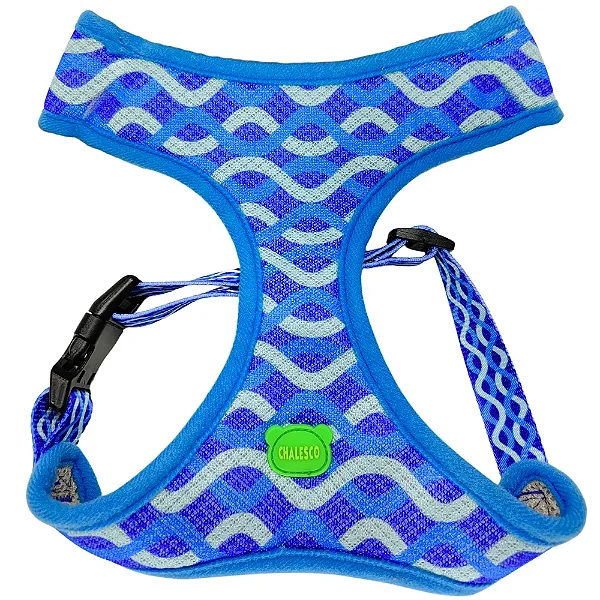 PEITORAL + GUIA + COLEIRA CHALESCO DEONDA M