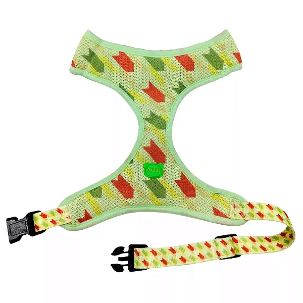 PEITORAL + GUIA + COLEIRA CHALESCO P BRAND