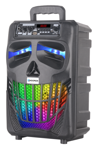 Caixa de Som Portátil Hoopson 100W Preto Bluetooth, USB, Auxiliar, Micro SD e FM - RBM-017