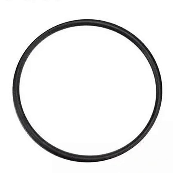 Anel O-Ring Tampa do Pré-Filtro da Bomba Alliance