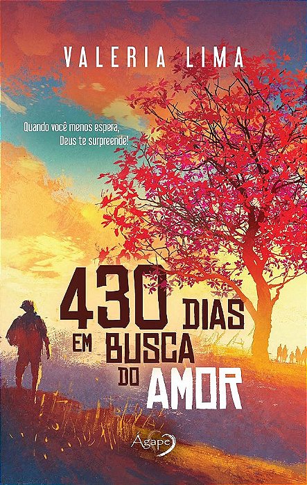430 Dias Em Busca Do Amor