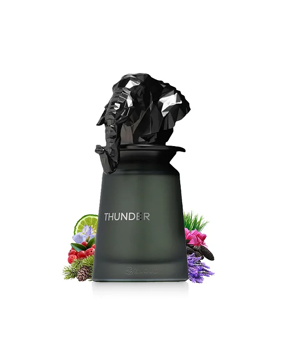 Thunder Extrait French Avenue 100ml