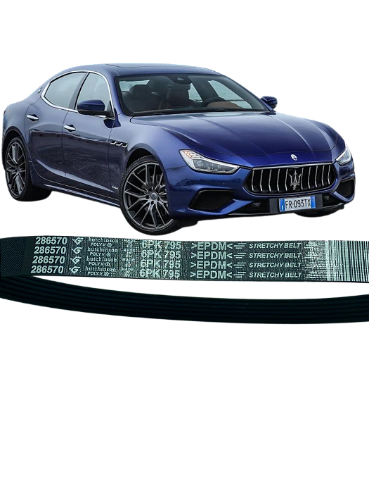 Correia Polyv Maserati - 286570