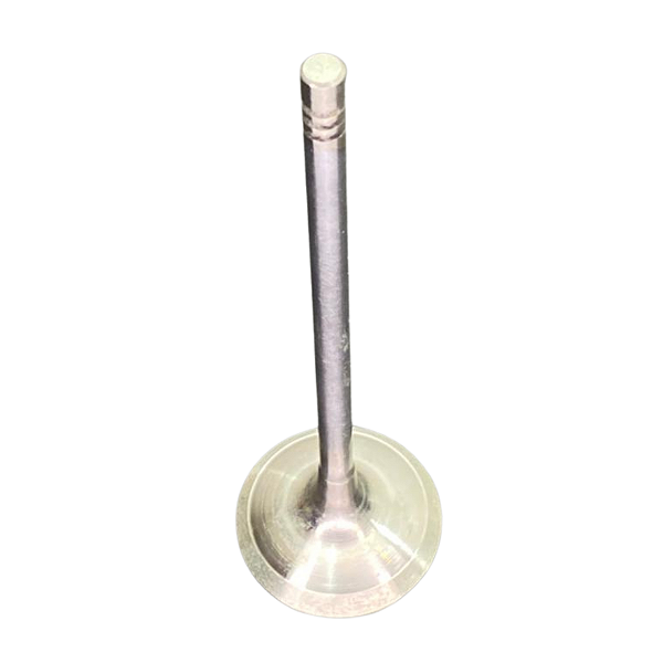 Valvula De Admissao Bmw N20 B55 B30 - 11347583777, 11347583779