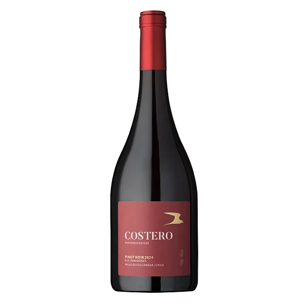 VINHO FAMÍLIA GEISSE - COSTERO PINOT NOIR 750ML